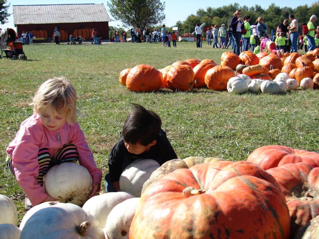 Kids picking pumpkins at a Kansas City area pumpkin patch